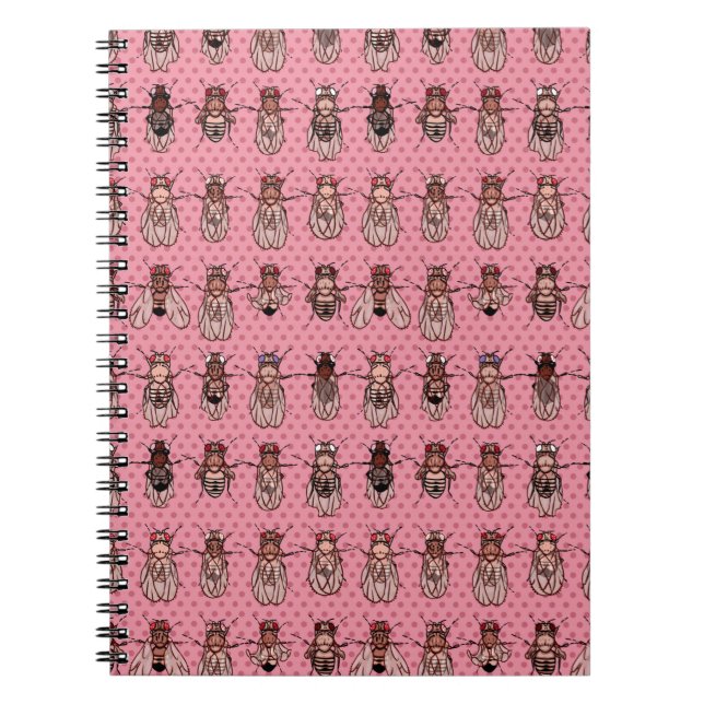 Cuaderno Genética de la mosca del vinagre de la Drosophila (Frente)