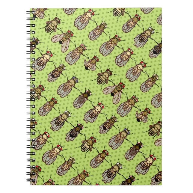 Cuaderno Genética de la mosca del vinagre de la Drosophila (Frente)