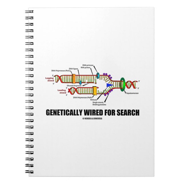 Cuaderno Genéticamente Conectado Para Búsqueda (Replicación (Frente)