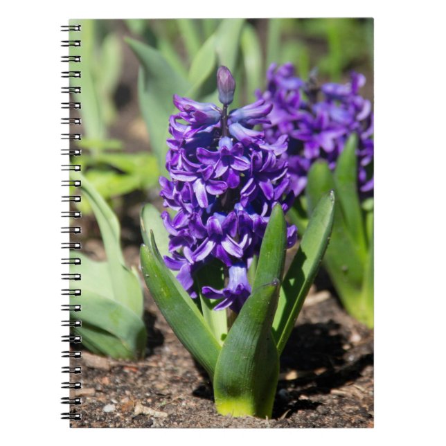 Cuaderno Geocinth azul en primavera (Frente)