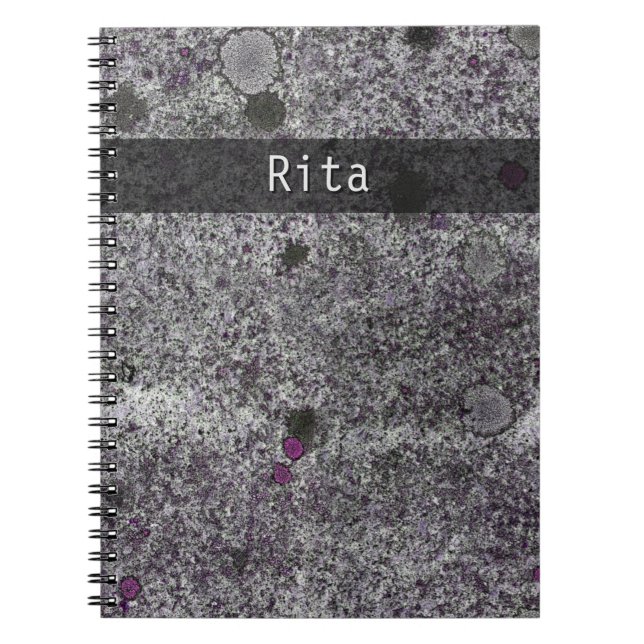 Cuaderno Geología de la naturaleza Granito gris rosado Deta (Frente)