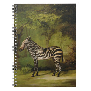 Cuaderno George Stubbs el   una cebra, 1763 (aceite en