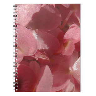 Cuaderno Geranio rosa: casi sólido Rosa claro