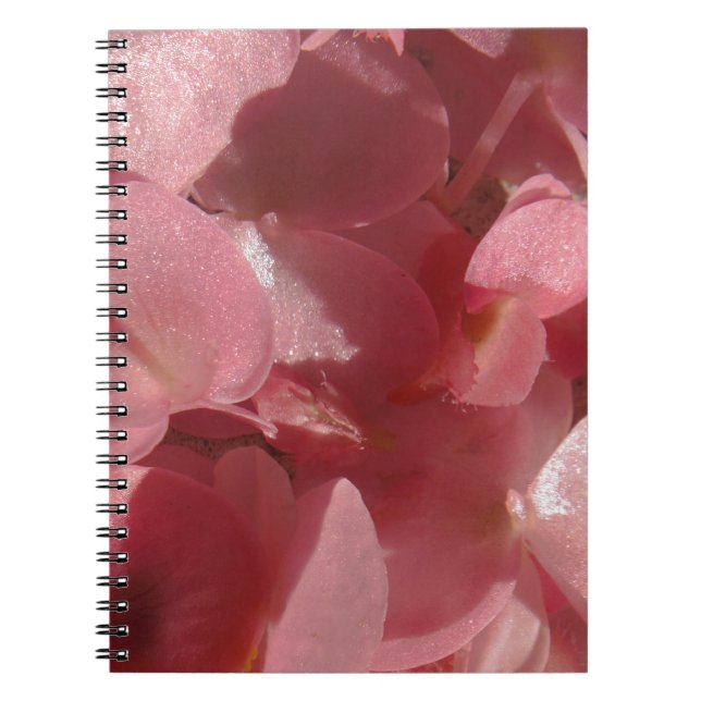 Cuaderno Geranio rosa: casi sólido Rosa claro (Frente)