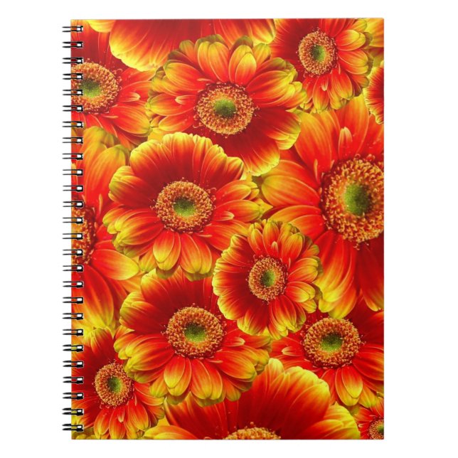 Cuaderno Gerbera Daisies, amarilla y Naranja (Frente)