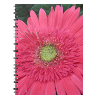 Cuaderno Gerbera Daisy