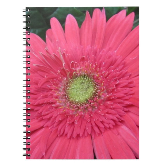 Cuaderno Gerbera Daisy (Frente)