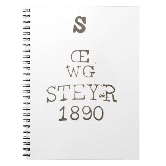 Cuaderno Gewehr Steyr de Austria alemana de la Primera Guer (Frente)
