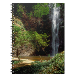 Cuaderno Ghana: Wli Falls, alias Cataratas Agumatsa (Volta)