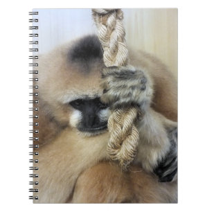 CUADERNO GIBBON