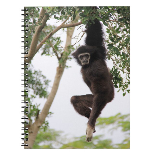 Cuaderno Gibón columpiándose de un árbol (Frente)