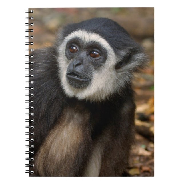 Cuaderno Gibón de manos blancas (Hylobates Lar), Monkeyland (Frente)