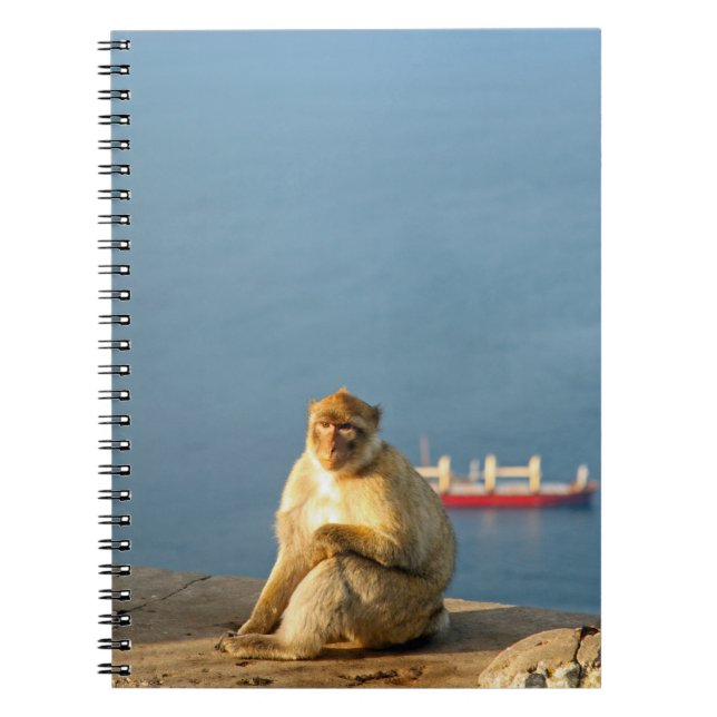 Cuaderno Gibraltar Barbary ape (Frente)