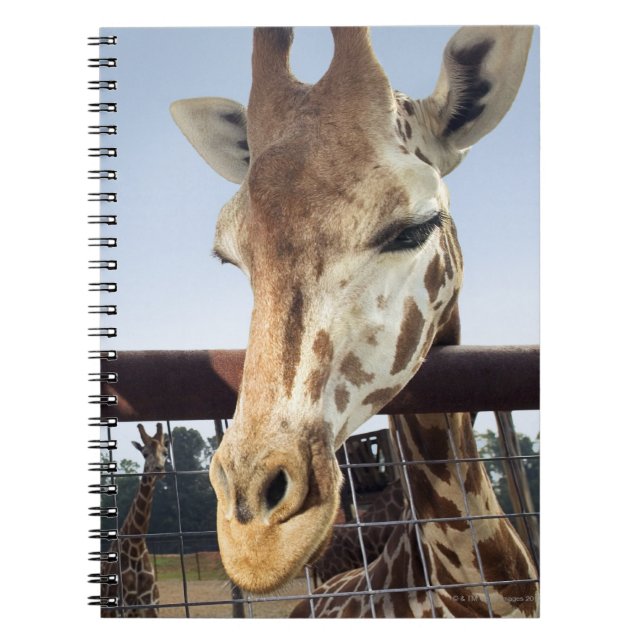 Cuaderno Giraffe (Frente)