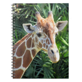 Cuaderno Giraffe - 6,5 x 8,75 bloc de notas