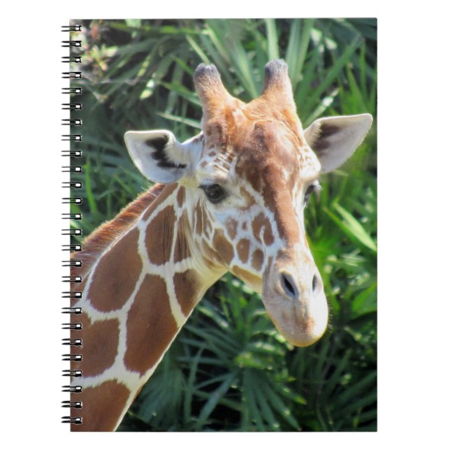 Cuaderno Giraffe - 6,5 x 8,75 bloc de notas (Frente)