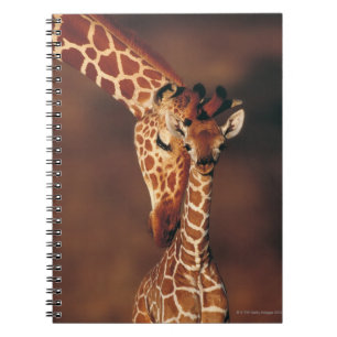 Cuaderno Giraffe de adultos con ternera (Giraffa camelopard