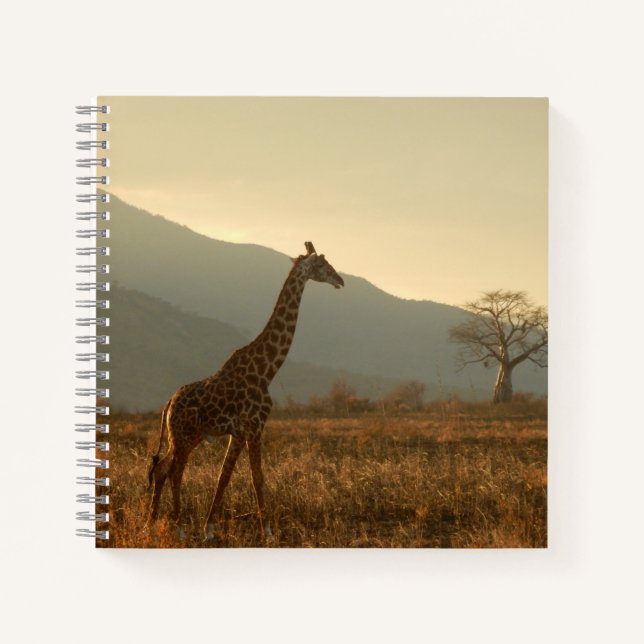 Cuaderno Giraffe en la sabana (Anverso)