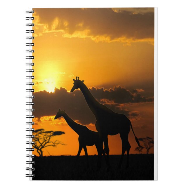 Cuaderno Giraffe Family 2 (Frente)