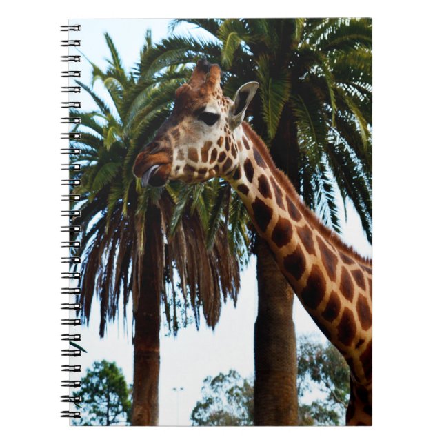 Cuaderno Giraffe Graciosa Dando Una Frambuesa, (Frente)