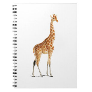 Cuaderno Giraffe Illustration Design for Kids Room
