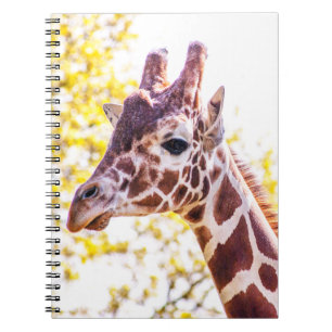 Cuaderno Giraffe Portrait
