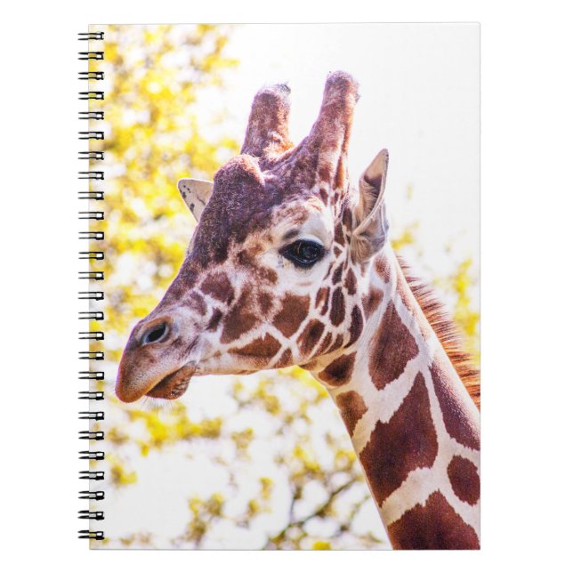Cuaderno Giraffe Portrait (Frente)