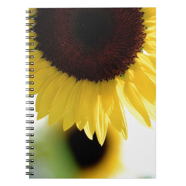 Cuaderno Girasol (Frente)