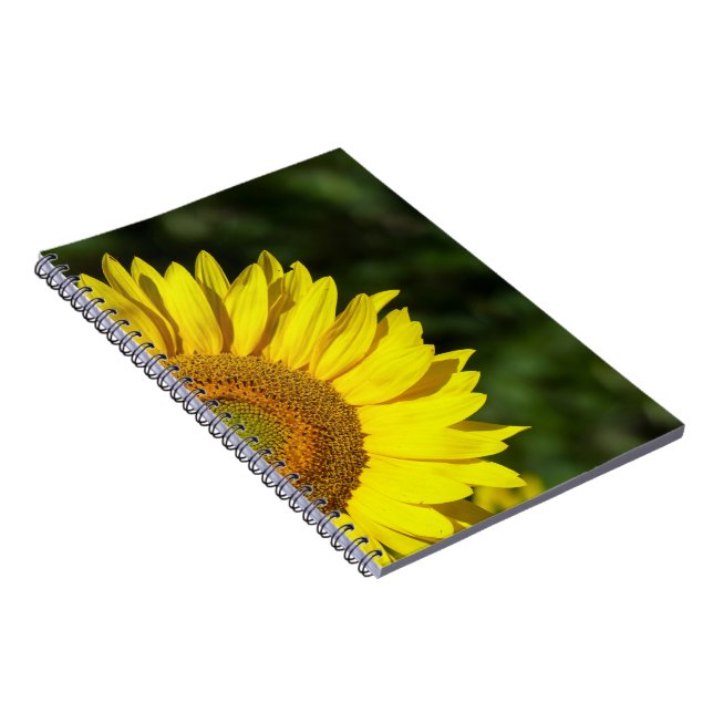 Cuaderno Girasol (Lado Derecho)