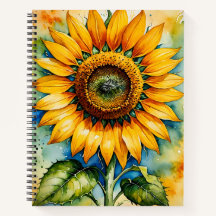 Girasol