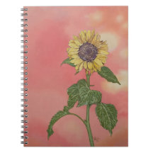 Girasol al atardecer