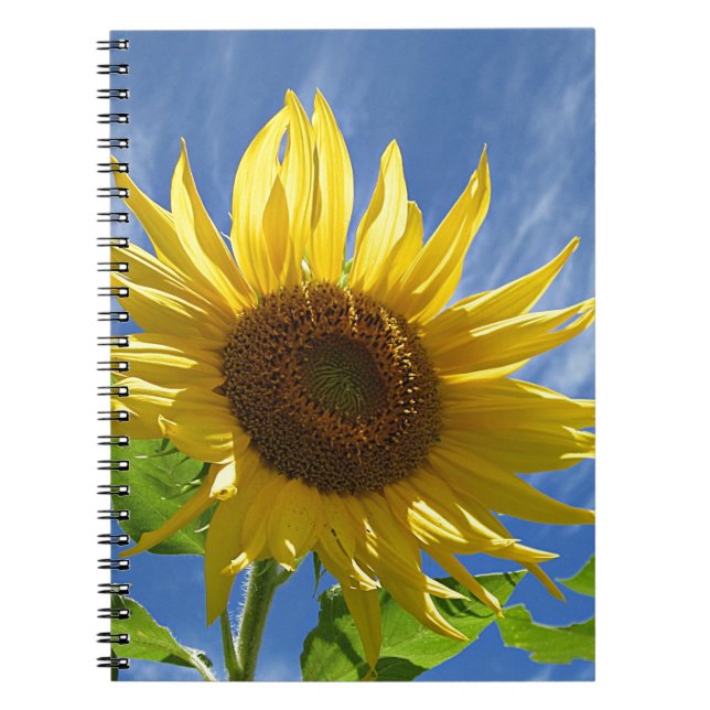 Cuaderno Girasol alegre (Frente)