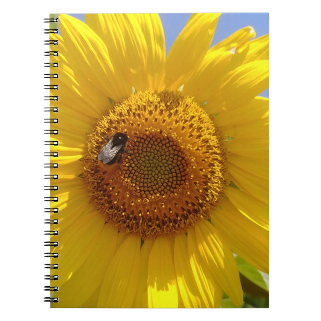 Cuaderno Girasol amarillo (Frente)