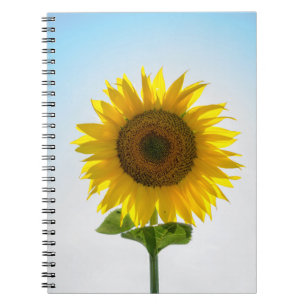 Cuaderno Girasol amarillo