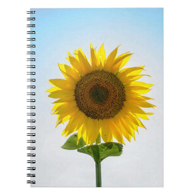 Cuaderno Girasol amarillo (Frente)