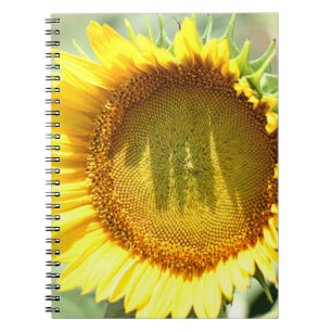 Cuaderno Girasol amarillo