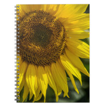 Cuaderno - Girasol Amarillo
