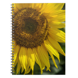Cuaderno - Girasol Amarillo