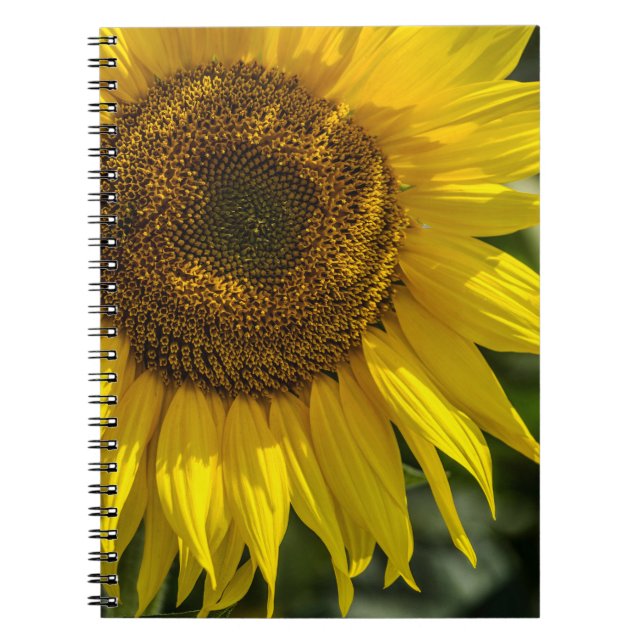 Cuaderno - Girasol Amarillo (Frente)