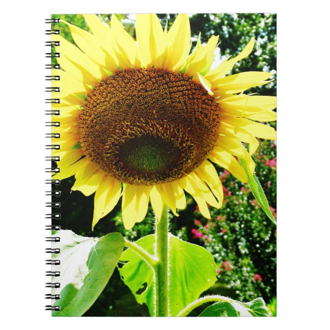 Cuaderno Girasol amarillo grande (Frente)
