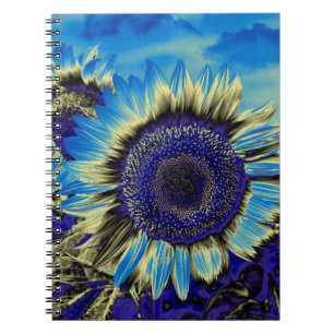 Cuaderno Girasol azul