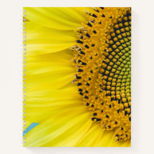 Cuaderno Girasol brillante