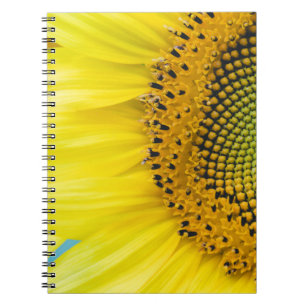 Cuaderno Girasol brillante