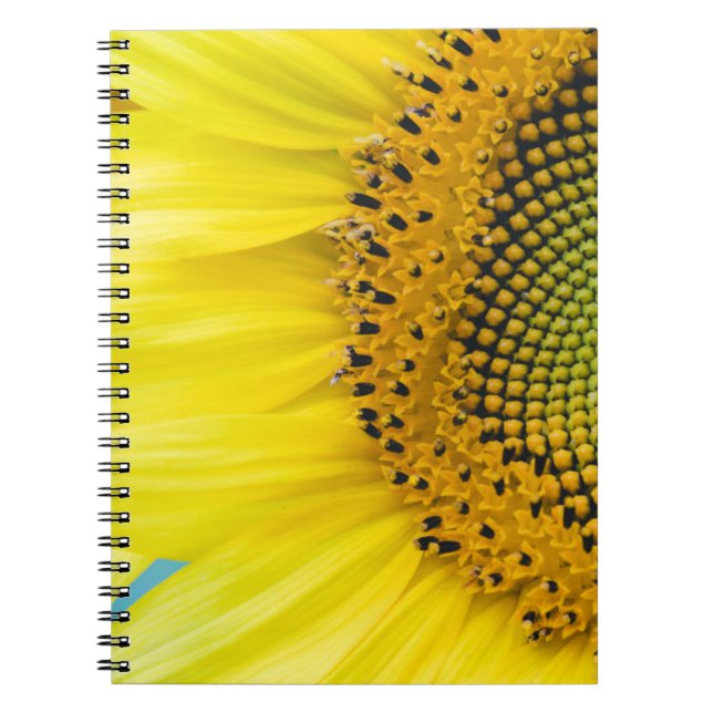 Cuaderno Girasol brillante (Frente)