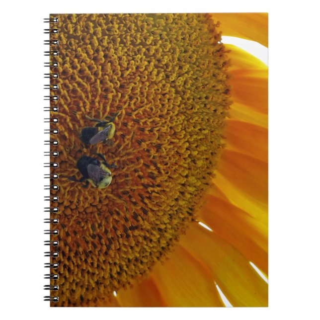 Cuaderno Girasol con abejorros (Frente)