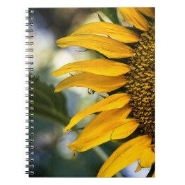 Cuaderno - Girasol con gotas de lluvia