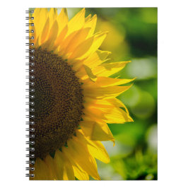 Cuaderno - Girasol en el Campo