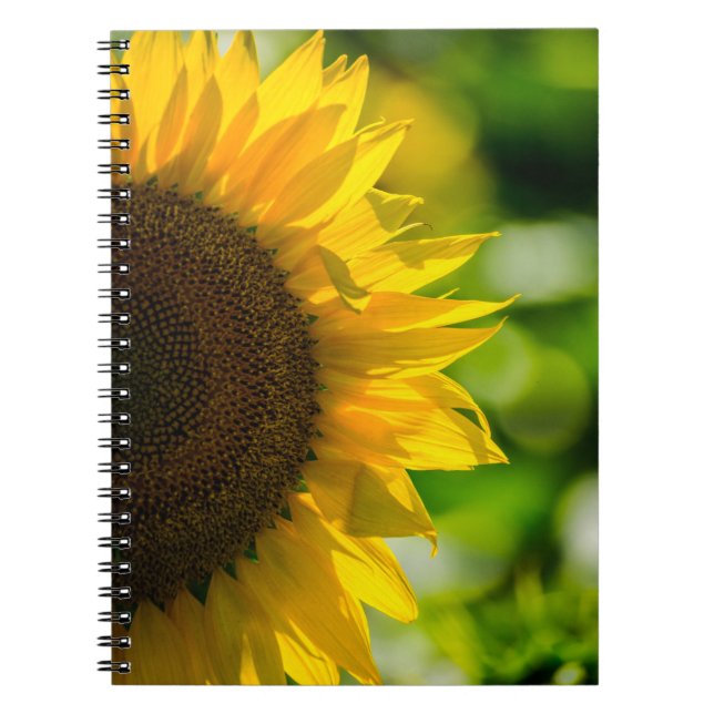 Cuaderno - Girasol en el Campo (Frente)