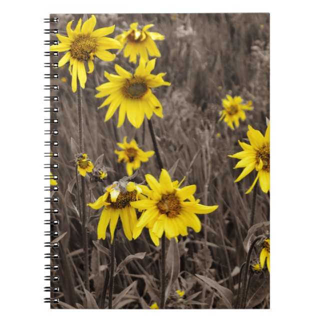 Cuaderno Girasol en la Montaña Rocosa (Frente)