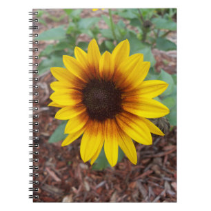Cuaderno Girasol pequeño en un portátil